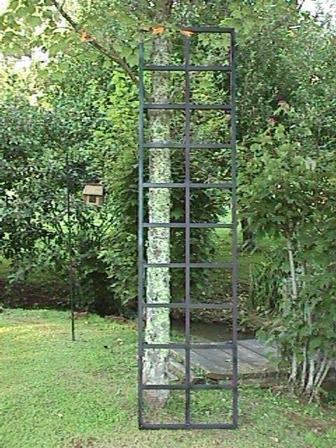 8 Foot Metal Garden Trellis